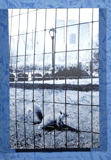 Foto Quadro con Svarovski Elements 'Free the Squirrel'