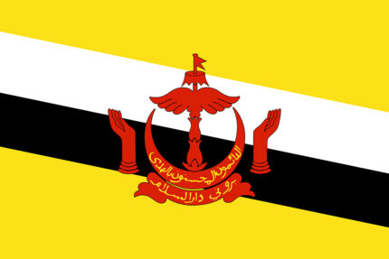 Bandiera Brunei
