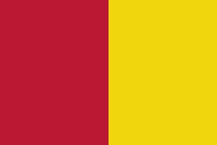Bandiera Comune di Roma solo colori
