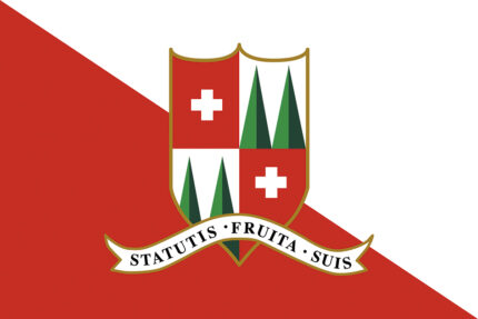 Bandiera del Comune di San Pellegrino Terme