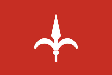 Bandiera Comune di Trieste