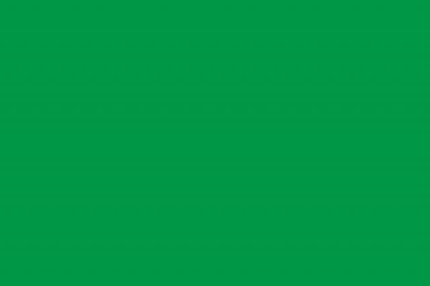Bandiera Verde - pista libera