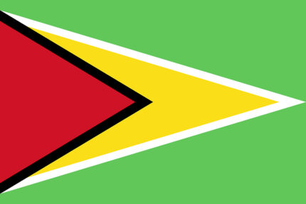 Bandiera Guyana
