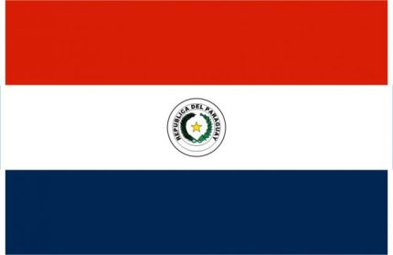 Bandiera Paraguay 2