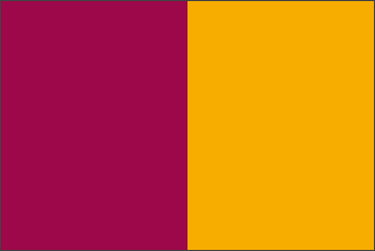 Comune di Roma s/c