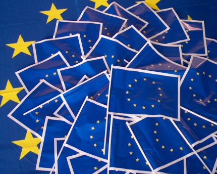 Set di 50 bandierine U.E. Unione Europea in polietilene
