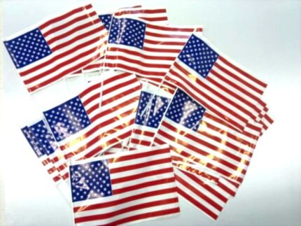 Set di 50 Bandierine U.S.A. in polietilene  Stati Uniti d'America