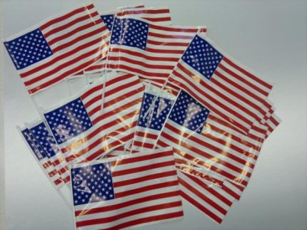 Set di 50 Bandierine U.S.A. in polietilene