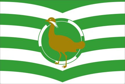 Bandiera Wiltshire