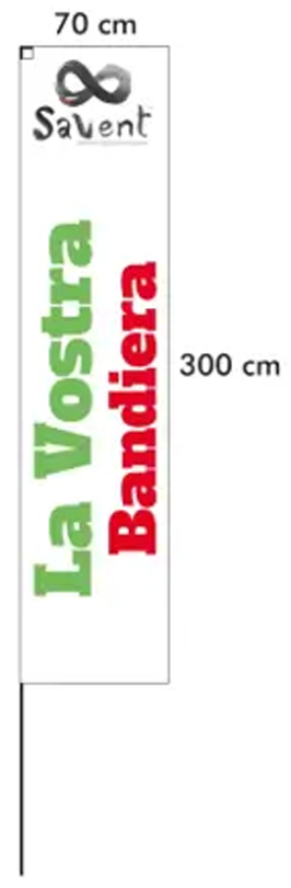 Bandiere Rettangolare Media Con Asta - Senza Base