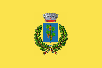 Bandiera Comune di Binetto