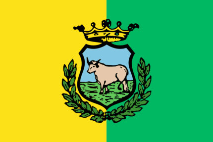 Bandiera Comune di Manziana
