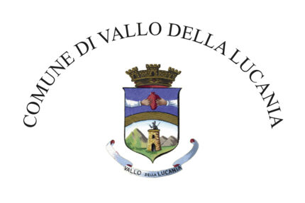 Bandiera Comune di Vallo della Lucania